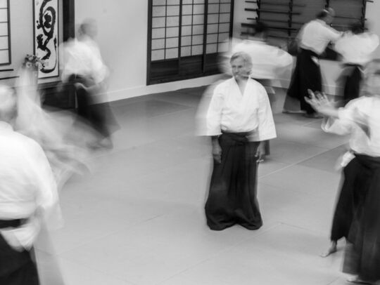 Aiki Goshin-do