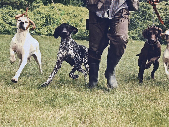 Société de chasse du moulin des fourches