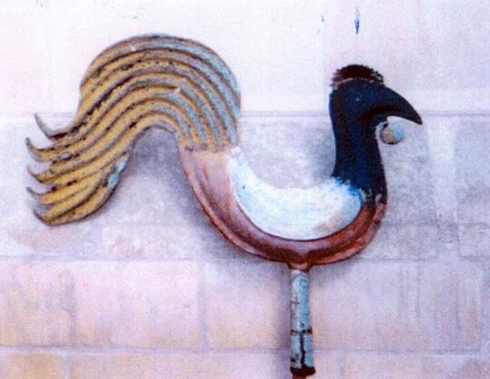 Le coq d'Aubry