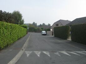Rue des Violettes
